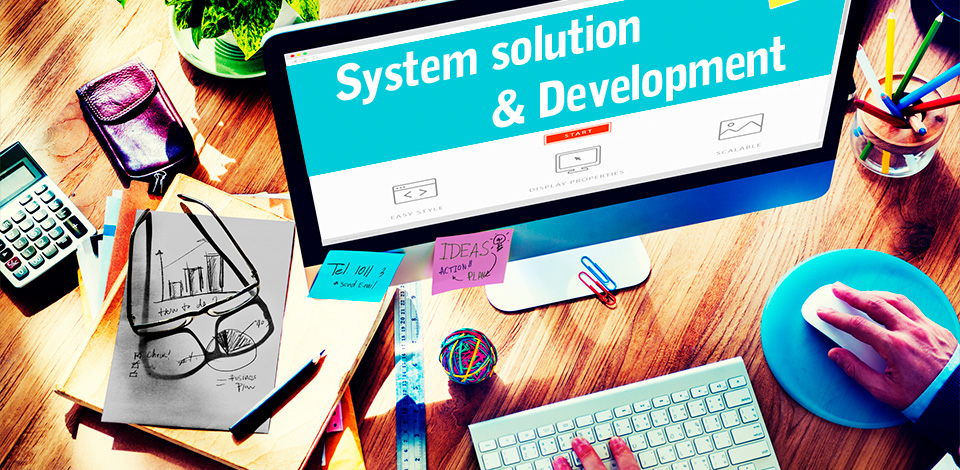 System solution & Development